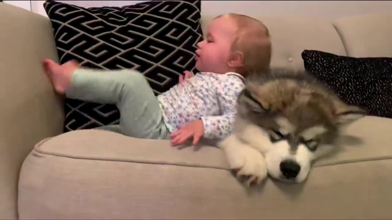 (Part B)-Baby girl & Puppy