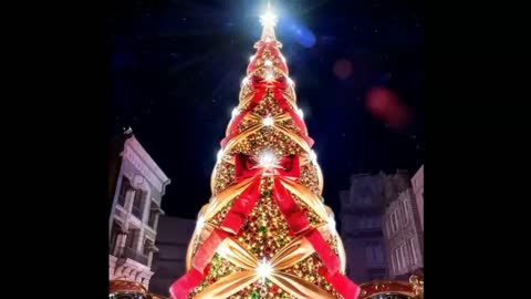 Best Christmas Trees around the World