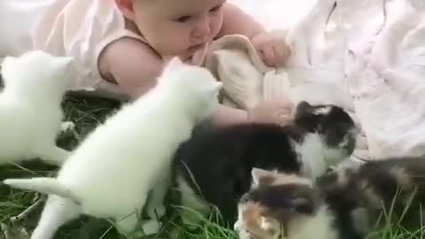 baby fun with dog❤