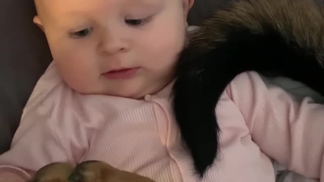 Baby Plays With Dog's Tail While She Lays With her Paw Placed on Baby's Belly