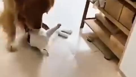 Unlikely friendship