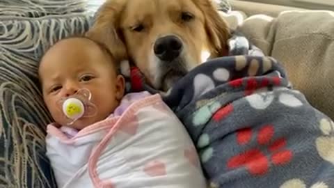 Snugglebuddies