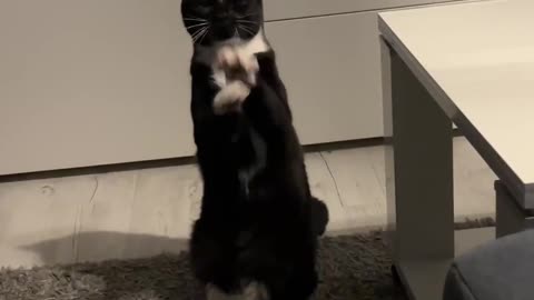 Look at him