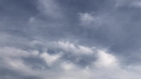 Do you see It? What do you see?