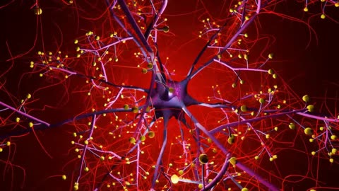 Harvard and Google Neuroscience Breakthrough: Intricately Detailed 1,400 Terabyte 3D Brain Map