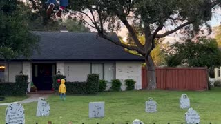 Floating Max Halloween Decoration