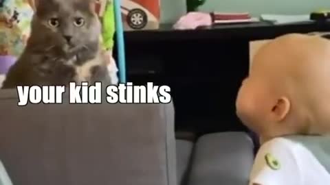 Cat vs Toddler