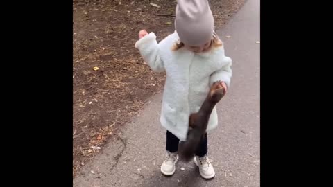 Cute baby animals videos compilation