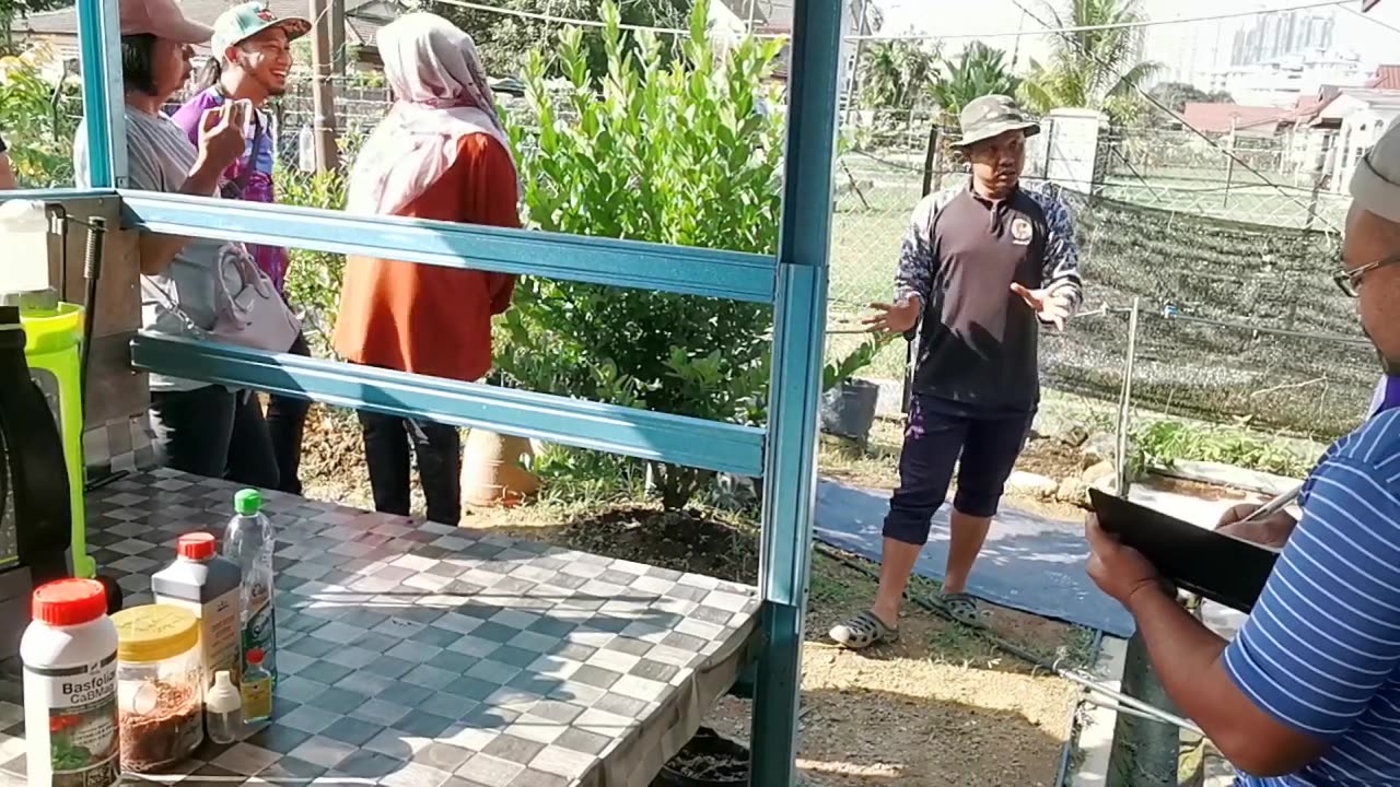 P1 Lawatan ke Kebun IPM di Pejabat Pertanian Gombak, 25 Jun 2024