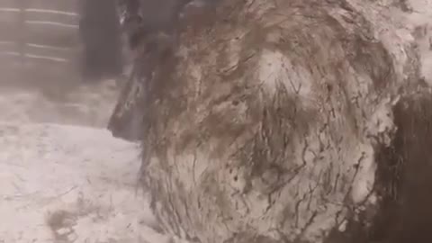 Very cold