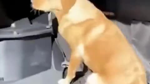 Funnest video 😂😂😂😂