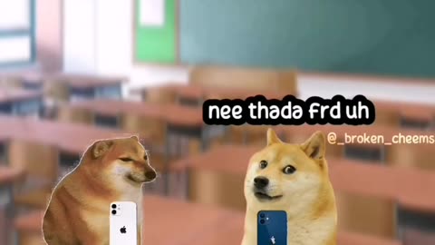 Cheems funny video