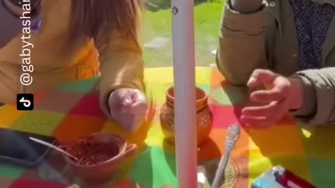 The end 😂😂😂50 #funny #viral #shorts #funnyvideos #trustedhumor