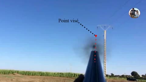 Dove Hunting Best Shots with explication of hunt