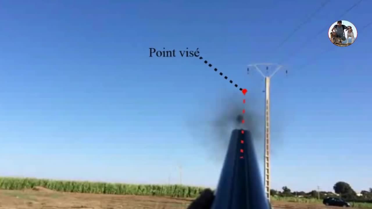 Dove Hunting Best Shots with explication of hunt