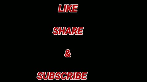 Dog training videos