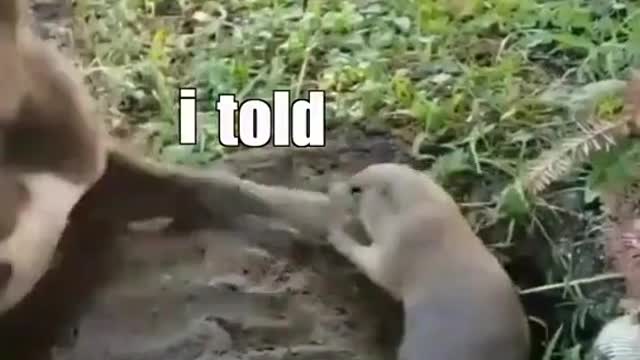 You can do it!