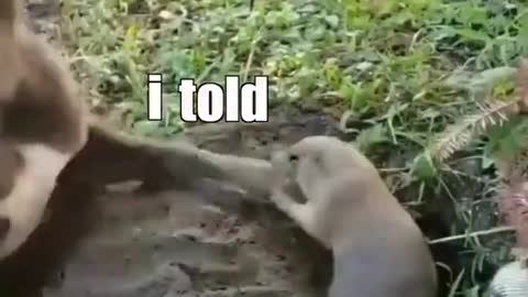 You can do it!