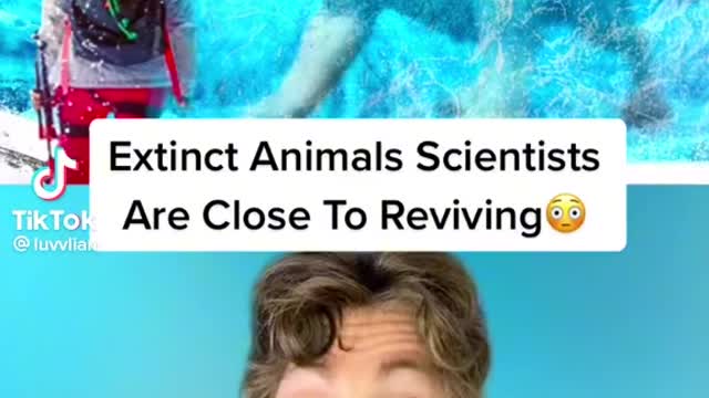 Extinct animals facts for you