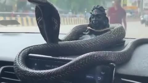 जय भोलेनाथ❣️🙏🚩