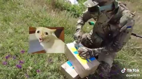 Unpacking swedish humanitarian aid