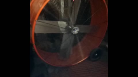 Fan collection!