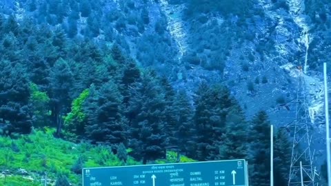 Nature scene|| Crazy mood|| Natural