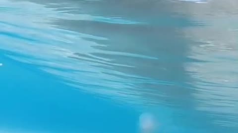 Who thinks, who will come to see the beautiful waves now and take you to see the sea,