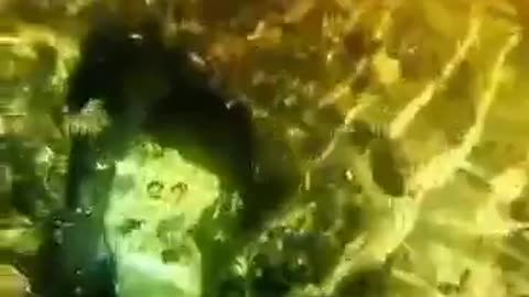 UNRELEASED SCENES MERMAID AND SEEN SWIMMING IN THE SEA WATCH THE VIDEO AND SHARE