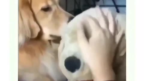 This is what jealousy look like