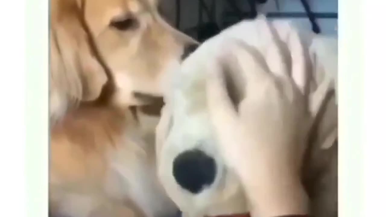 This is what jealousy look like