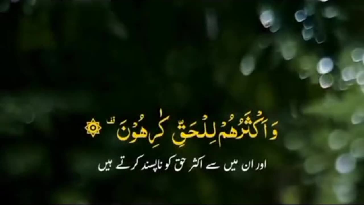 Quran translation Hindi follow me