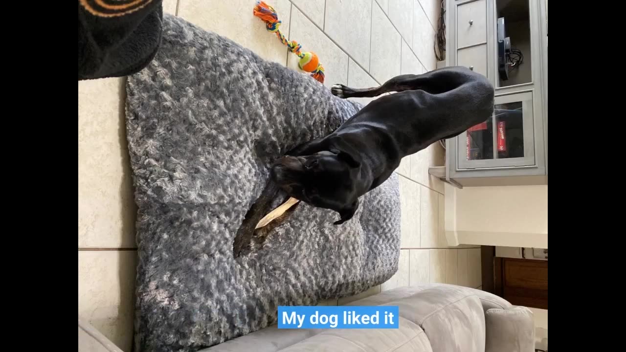 Amazon Basics Plush Pet Bed and Dog #Crate-Overview