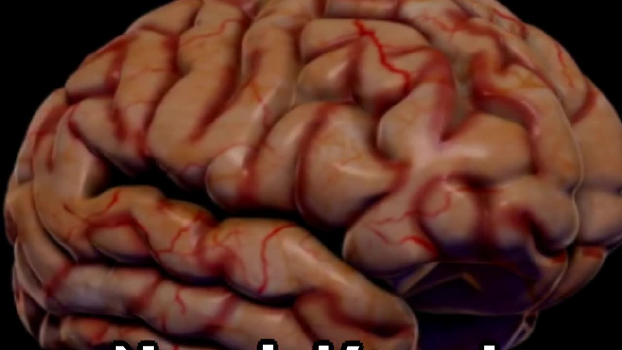 Why can't we see our own nose?