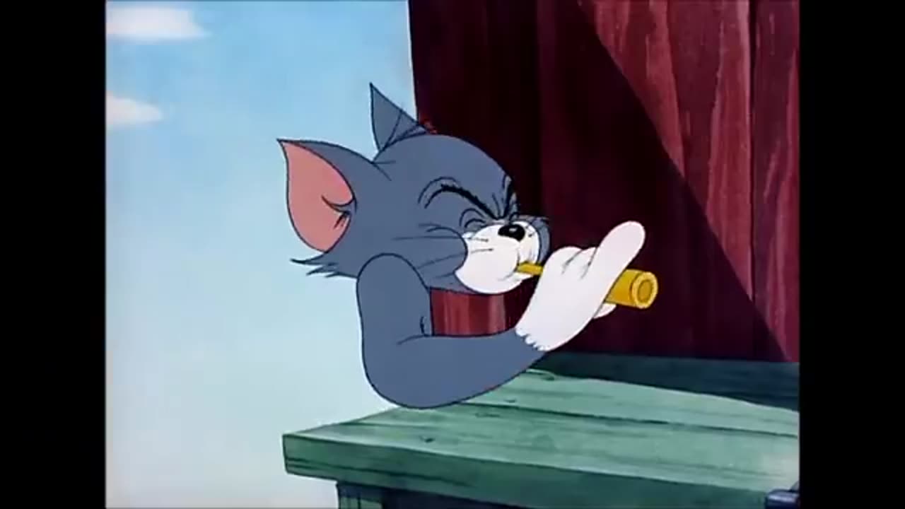 Tom and jerry