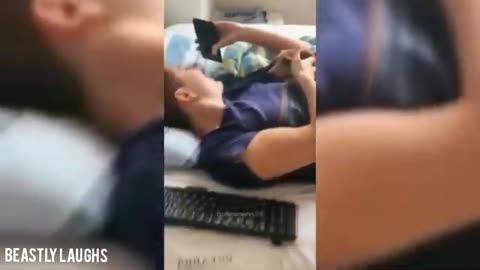 Best Funny Animals Videos of 2024 | Funniest Animals Ever |Relax With Cute Pets