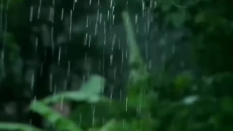 Irabeku Iruvante Kannada Bhaavageete