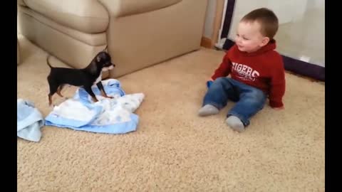 Cute Baby meets cute dog