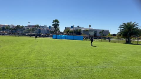 AP Elite Tampa