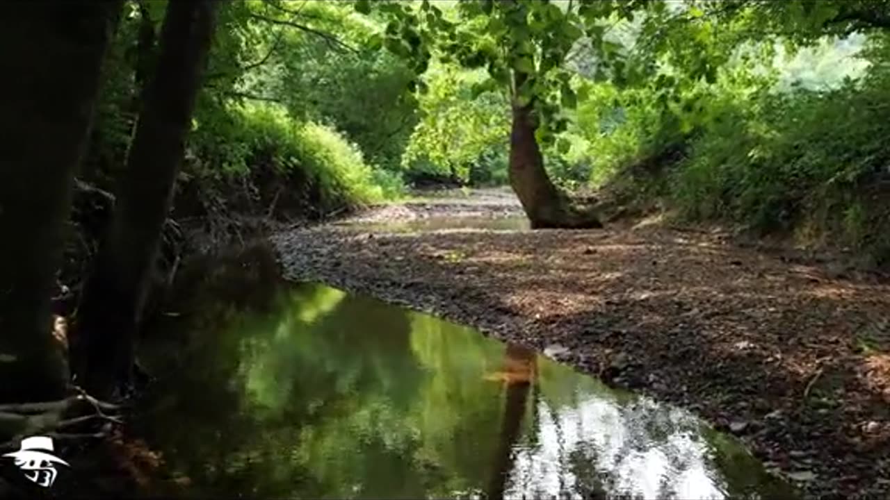 Kentucky land for sale - go to jamesbigleyranches.com for more info
