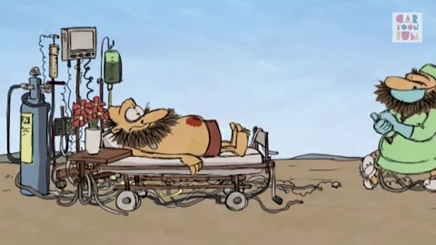 28416 anos antes do médico da família