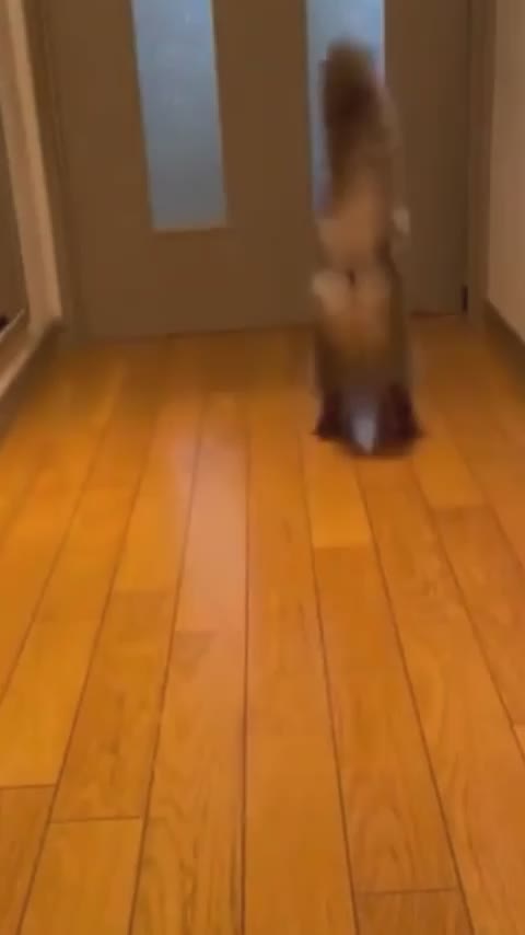 What is this style of dance?