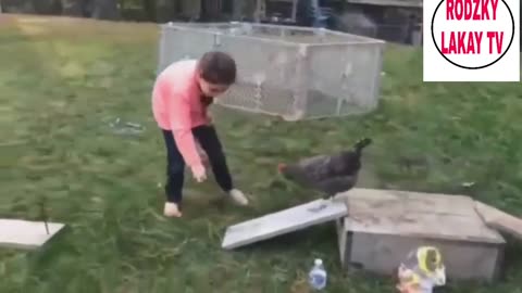 Chicken funny videos | funny animal videos 2024