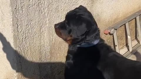 He don't know what happening