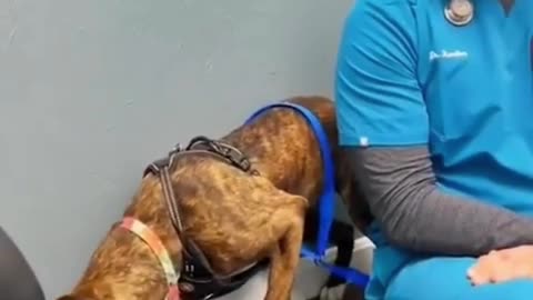 Kindness Knows No Bounds #shorts #shortvideo #video #virals #videoviral