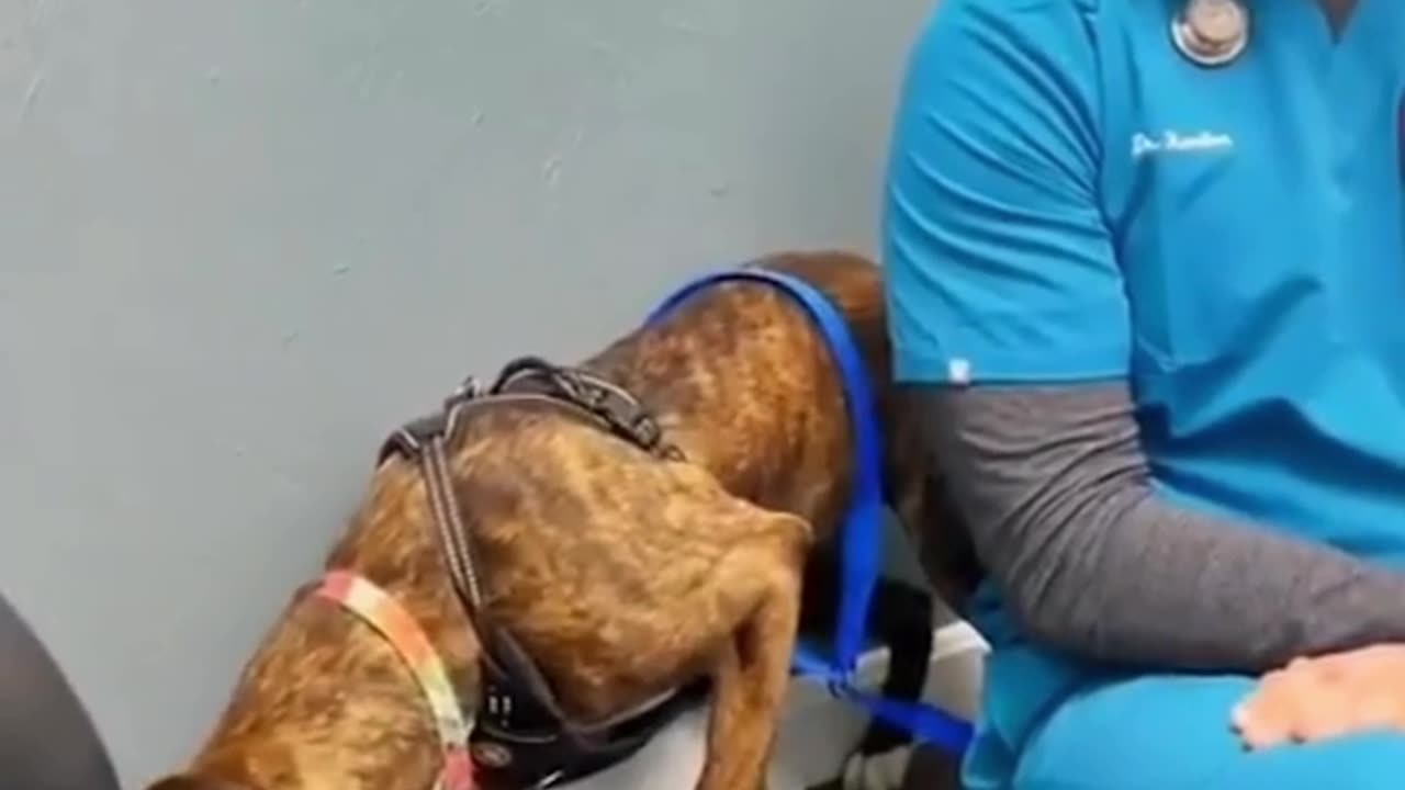 Kindness Knows No Bounds #shorts #shortvideo #video #virals #videoviral