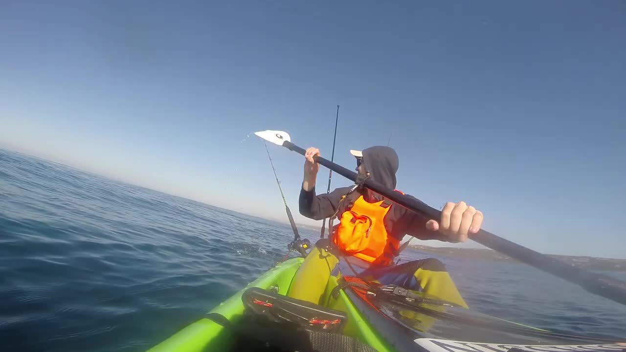 Guy Kayak Fishing Films Shark Jump Flipping Out of Water