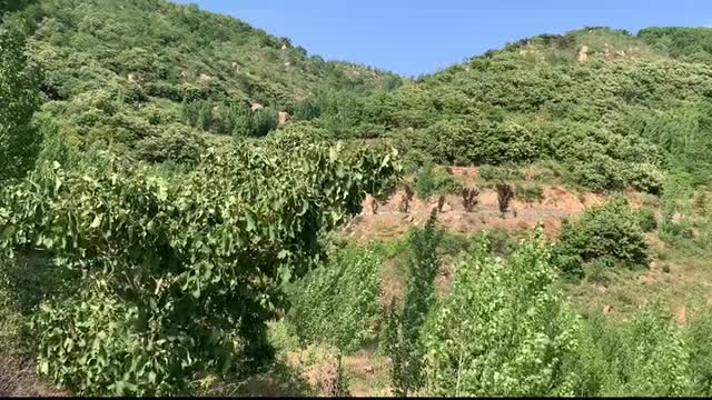 The beauty of the scenery in the Jingli period, play and stroll