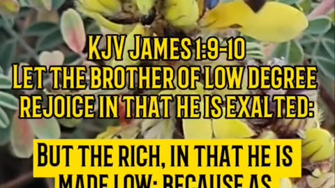 Low Degree of This World But High in God's Sight