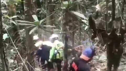 susur hutan halmahera